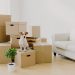 A small dog sitting on a pile of cardboard moving boxes in a bright living room with a white couch and a potted plant nearby, symbolizes the calm achieved by using an ADHD moving checklist